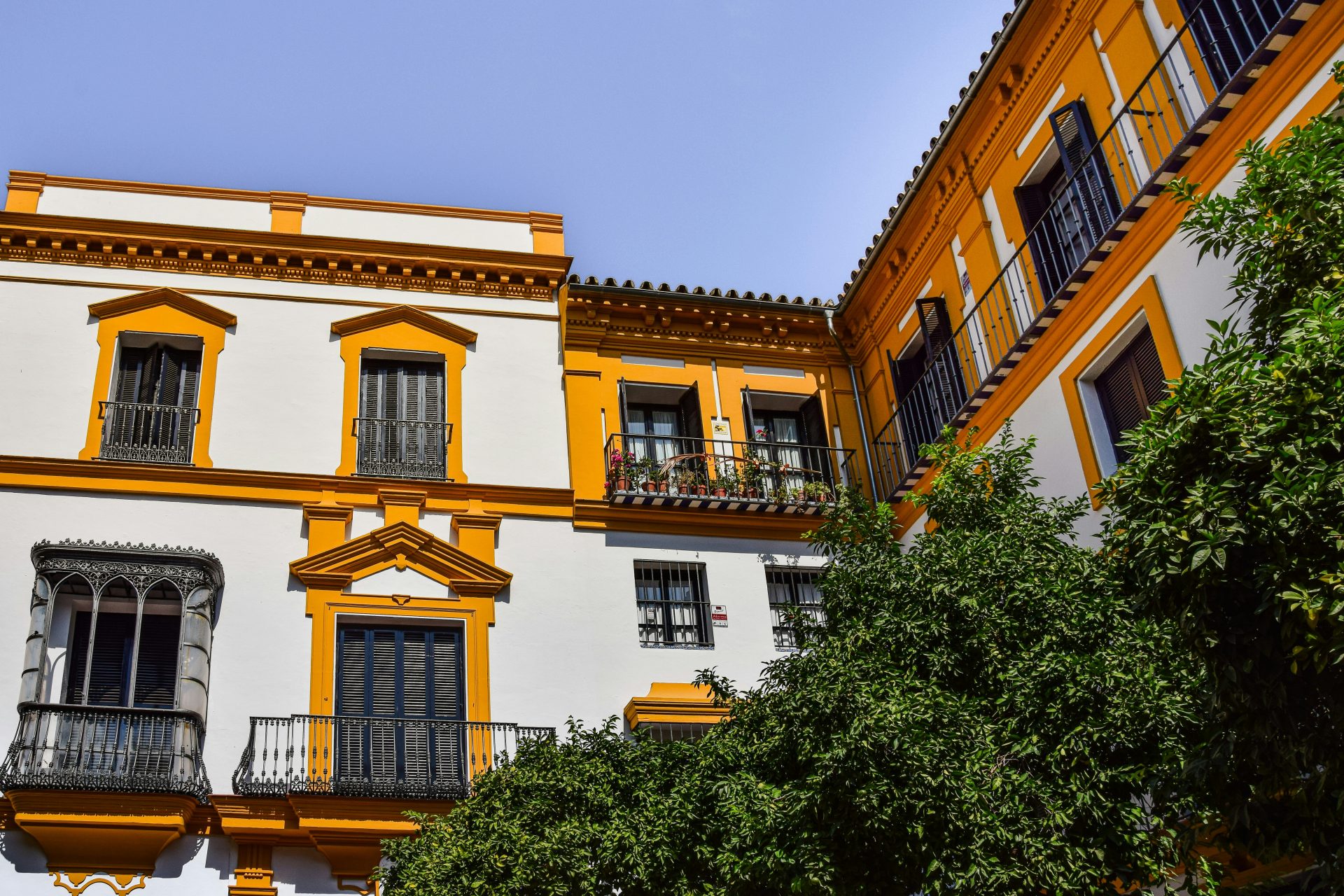 a building with balconies and trees in front of it